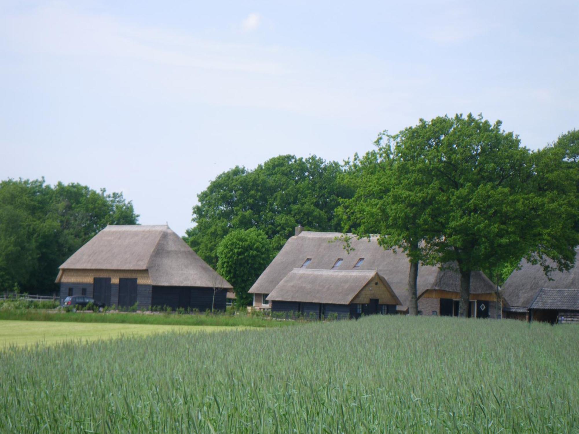 Gastenverblijf Lheederhof Lodge 3 Dwingeloo Exterior foto